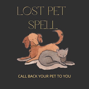 Pode incluir: Um fundo preto com texto dourado que diz "LOST PET SPELL" e "CALL BACK YOUR PET TO YOU". Uma ilustração de um cão castanho e um gato cinzento são mostrados num tapete branco.