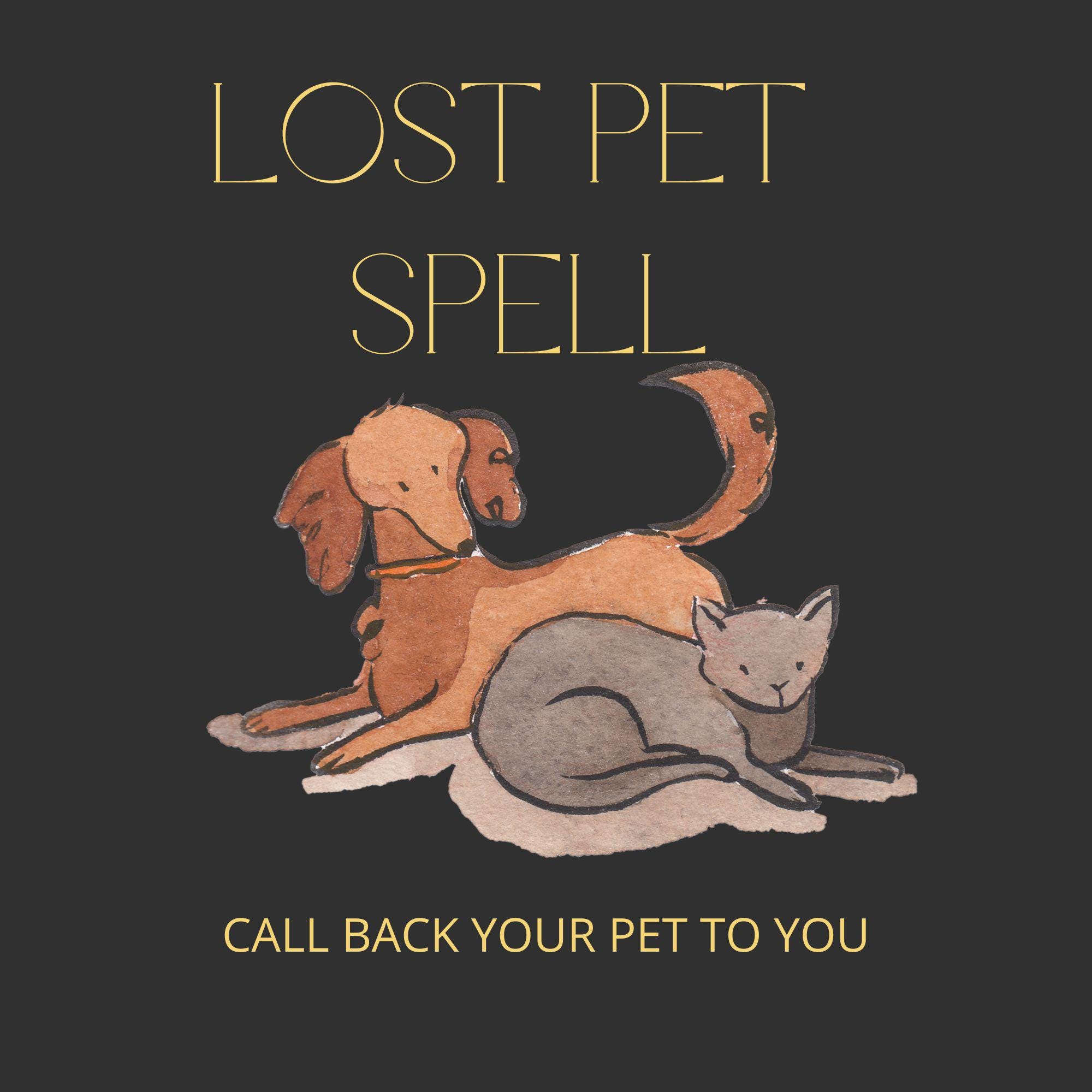 Missing Pet Spell