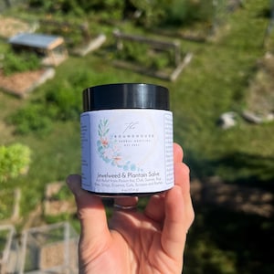 Jewelweed & Plantain Salve
