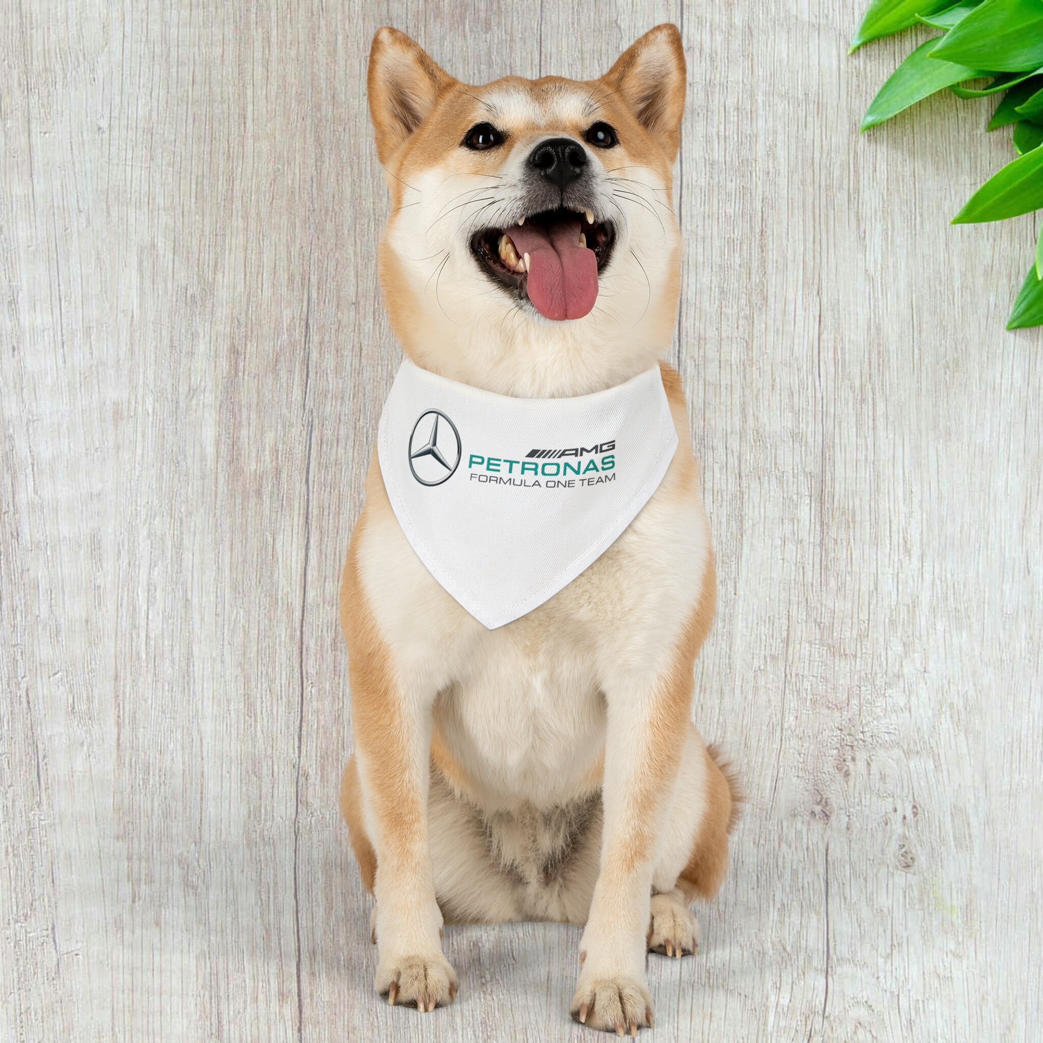 Mercedes dog clearance collar