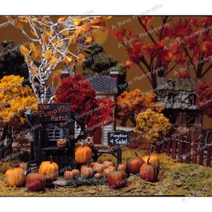 May include: A miniature pumpkin patch scene with a small wooden stand that says "The Pumpkin Patch". There are several small pumpkins in various shades of orange and a sign that says "Pumpkins 4 Sale!"