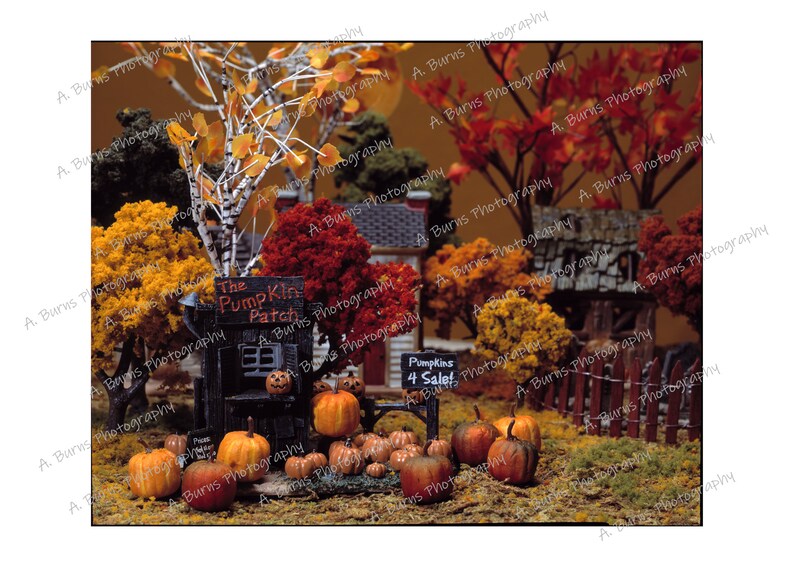 Puede incluir: Una escena de huerto de calabazas en miniatura con un peque&ntilde;o puesto de madera que dice "The Pumpkin Patch". Hay varias calabazas peque&ntilde;as en varios tonos de naranja y un cartel que dice "Pumpkins 4 Sale!"