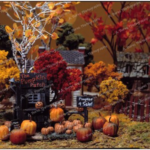 Puede incluir: Una escena de huerto de calabazas en miniatura con un puesto de madera que dice "The Pumpkin Patch". Hay peque&ntilde;as calabazas en varios tonos de naranja y un cartel que dice "Pumpkins 4 Sale!"