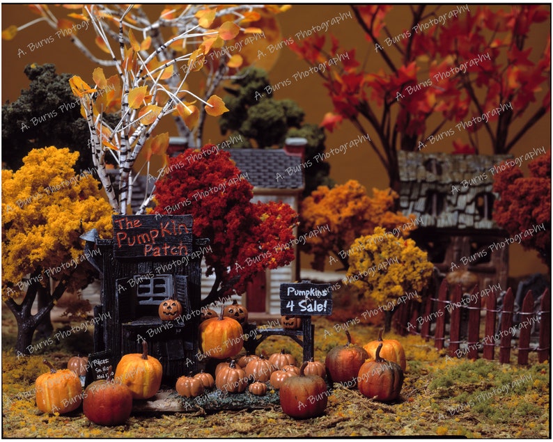 Puede incluir: Una escena de huerto de calabazas en miniatura con un puesto de madera que dice "The Pumpkin Patch". Hay peque&ntilde;as calabazas en varios tonos de naranja y un cartel que dice "Pumpkins 4 Sale!"