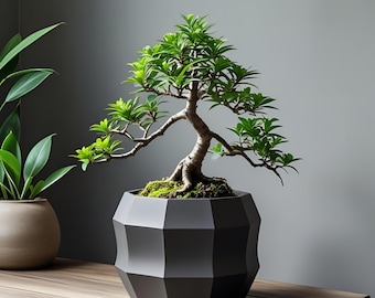 Minimalist Decagonal Flowerpot: Modern Planter Design