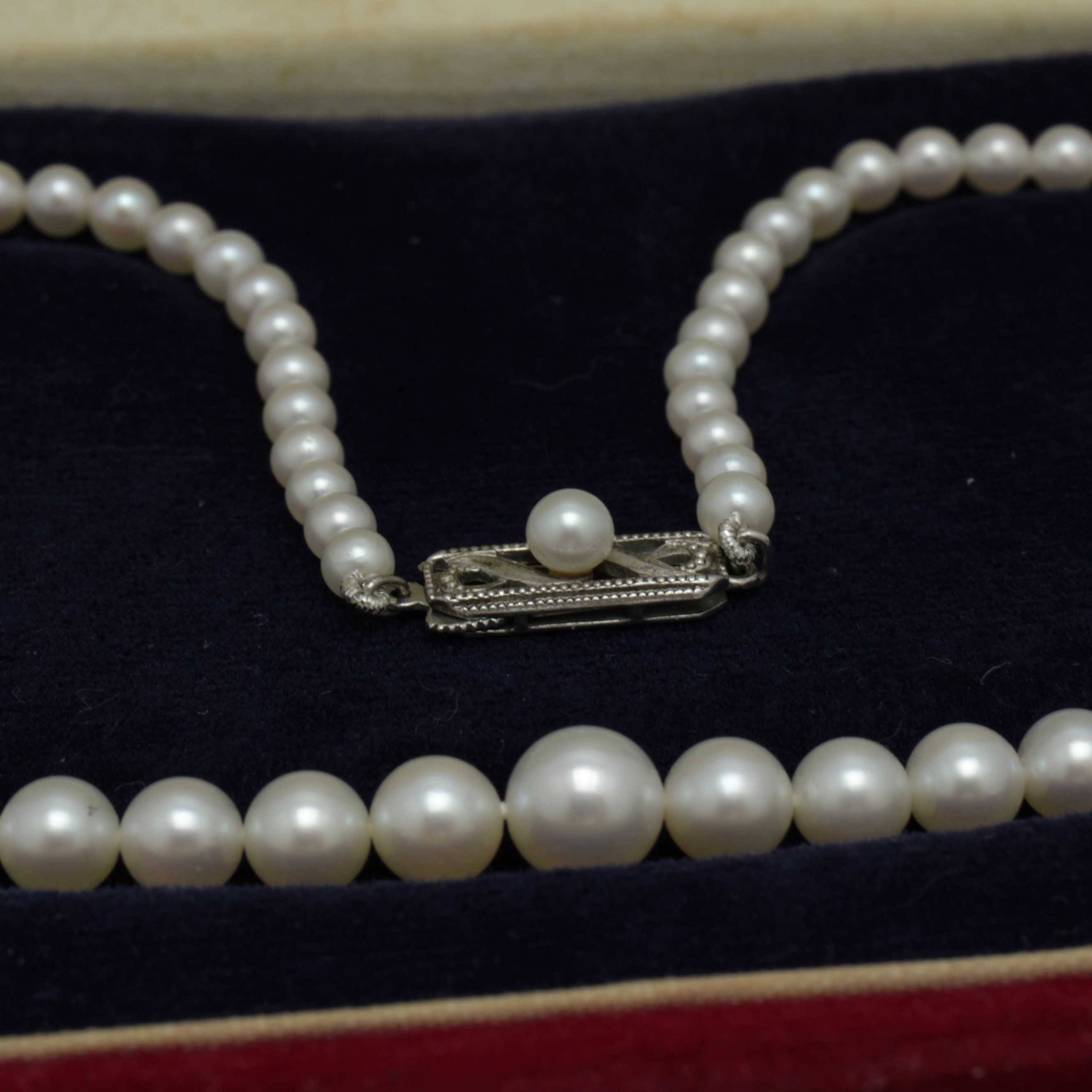 Amazon.co.jp: ミキモト パールネックレス 写真集 THE PEARL