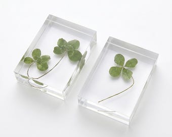 Real Four Leaf Clover Resin Paperweight,Authentic Botanical Rectangular Lucky Charm,Nature Desk Decor,St Patricks Day Gift