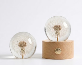 Real Dandelion Resin Sphere,Botanical Wood Lamp,Preserved Flower Globe,Desk Decor, Nature Lover Gift,