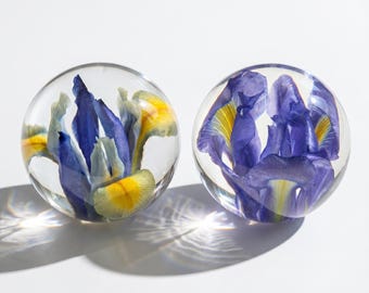 Real Iris Floral Resin Paperweight,Preserved Flower Globe,Aesthetic Desk Decor,Unique Nature Lover Gift,Genuine Botanical Dome