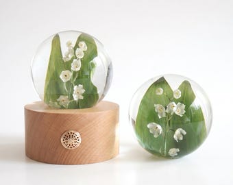 Lily of Valley Resin Globe,Botanical Wood Lamp,Preserved Floral Sphere,Touch Dimmable Desk Decor, May Birth Flower Gift