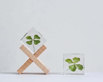 Real Four Leaf Clover Resin ,Nature Lover Gift, Authentic Good Luck Charm,4 leaf clover decoration,Resin Keepsake,Botanical Desk Paperweight