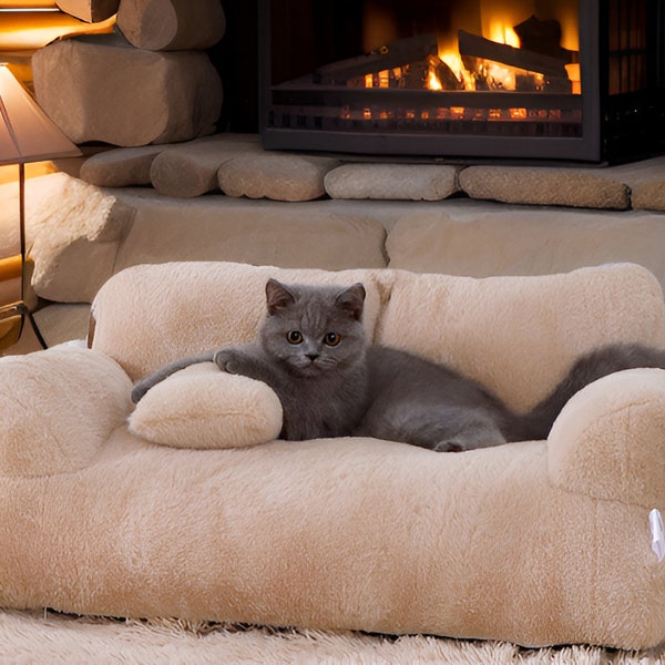 Finally Got My Christmas Present Blogs & Forums