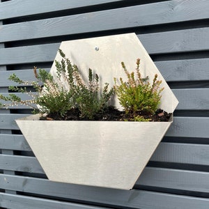 May include: A silver hexagonal planter, filled with green and purple plants, attached to a grey wooden fence. The metal planter has a modern design, ideal for outdoor spaces. The plants are thriving.