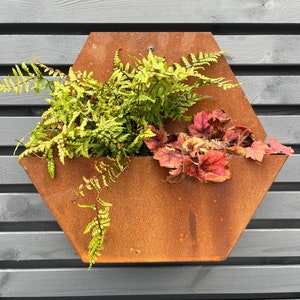 May include: A hexagonal, rust-coloured metal planter filled with green and red plants. The planter is mounted on a grey wooden fence. The plants include ferns and other leafy varieties, creating a natural, decorative element for outdoor spaces.