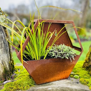 May include: A rusty metal planter shaped like a hexagon with two types of green plants growing inside. The planter is sitting on a mossy wooden surface.
