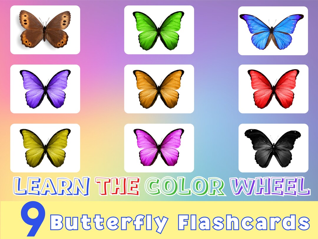 Butterfly Color Flashcards for Kids | Toddler Learning, Printable ...