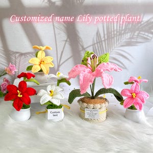 Plante en pot de lys au crochet fait main, décoration de lys, nom de carte personnalisé, décoration de bureau, cadeau attentionné pour la classe/l'équipe/les amis