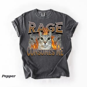 Comfort Colors® Rage Consumes Me Cat T-Shirt, Hilarious Cat Tee, Cat Lover Gift, Silly Cat Graphic shirt, Unhinged Cat shirt