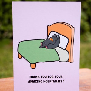 Grazie per la vostra ospitalità/biglietto con gatto carino, biglietto irlandese, prodotto in Irlanda e per tutte le età/vuoto all'interno