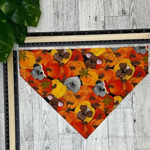 OTC Dog Bandannas, Easy On, Unisex, Personalizable, Fall Themes: Thanksgiving, Halloween, Pumpkins, Cartoon Dogs, 100% Cotton, over collar