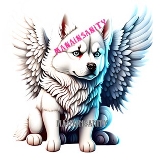 Puede incluir: Un husky blanco con ojos azules y una marca roja en la cara, sentado con las alas extendidas. Las alas son blancas con plumas grises. El texto "MAINTAIN SANITY" está escrito en letras rosas en la imagen.