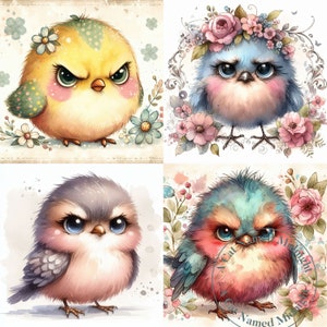 12 Quirky Grumpy Bird Clipart JPG Silly Goofy Birds Clip Art Bundle ...