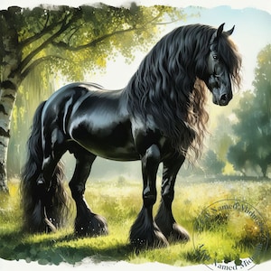 16 Black Friesian Horse Clipart Bundle Horse Clip Art Rustic Images Farm Downloadable Printable Wall Art Junk Journal Scrapbook
