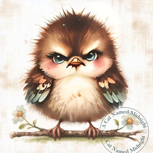 12 Quirky Grumpy Bird Clipart JPG Silly Goofy Birds Clip Art Bundle ...