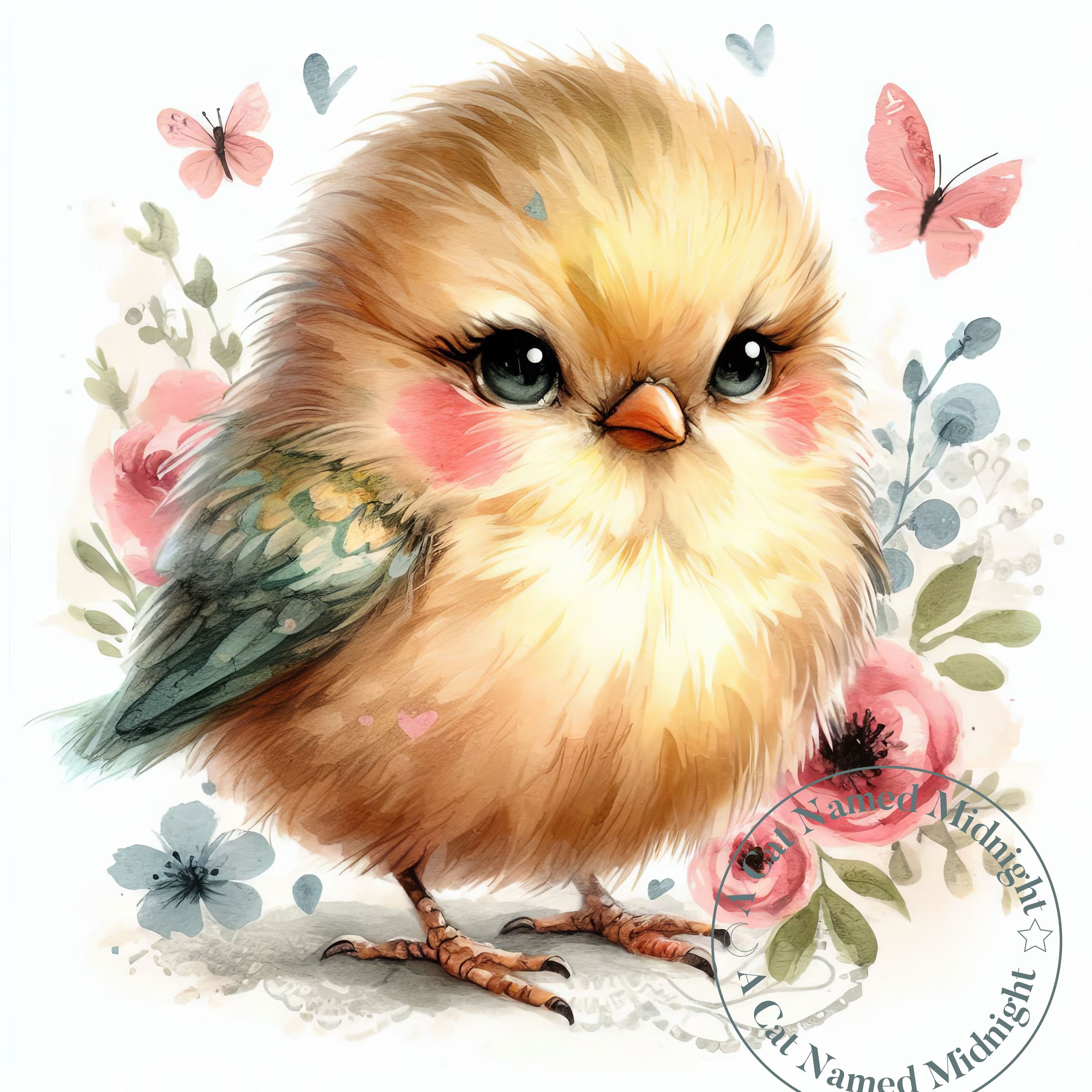 12 Quirky Grumpy Bird Clipart JPG Silly Goofy Birds Clip Art Bundle ...