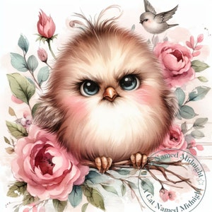 12 Quirky Grumpy Bird Clipart JPG Silly Goofy Birds Clip Art Bundle ...