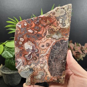 May include: A polished, irregularly shaped stone slab with a complex pattern of red, brown, gray, and cream colors. The stone has a rough, natural edge and a smooth, polished surface. The letter "A" is visible on the lower left.