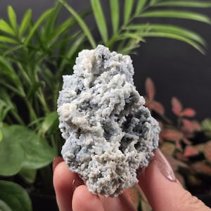 May include: A light blue and white mineral specimen with a textured, crystalline surface. The natural stone is held in a hand, with green foliage in the background. The mineral appears to be a cluster of small, interlocking crystals.