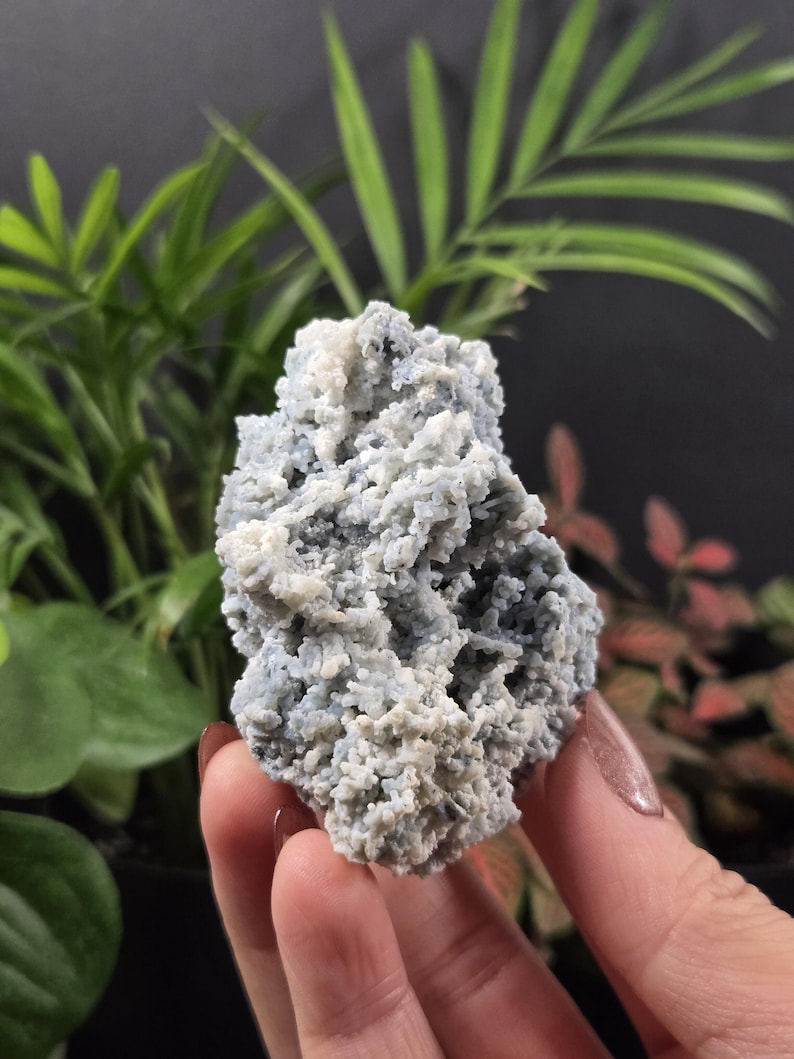 May include: A light blue and white mineral specimen with a textured, crystalline surface. The natural stone is held in a hand, with green foliage in the background. The mineral appears to be a cluster of small, interlocking crystals.