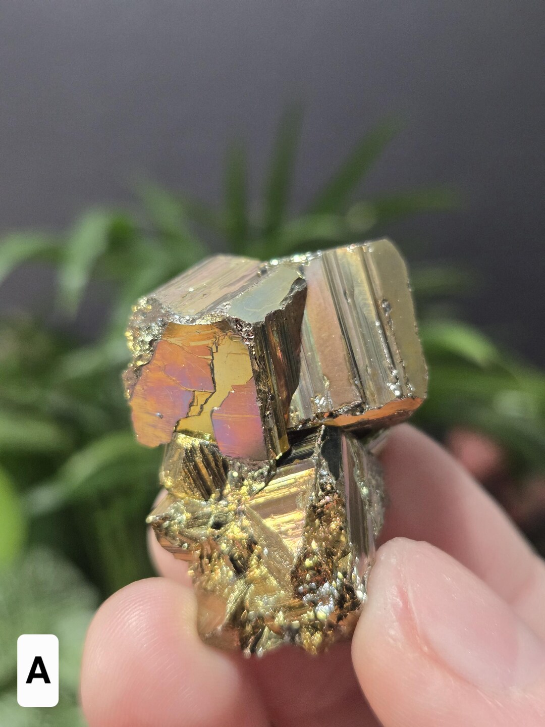 Colorful Pyrite (3 Options - You Choose!) - Naturally Iridescent Pyrite ...