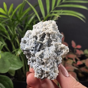 May include: A light blue and white mineral specimen with a textured, bubbly surface. The natural stone is held in a hand, with green plants in the background. The mineral has a unique, organic shape and is a light, pastel color.