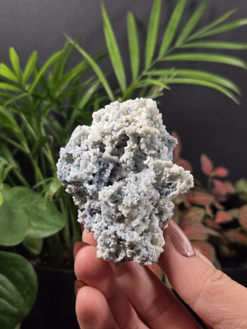 May include: A light blue and white mineral specimen with a textured, bubbly surface. The natural stone is held in a hand, with green plants in the background. The mineral has a unique, organic shape and is a light, pastel color.