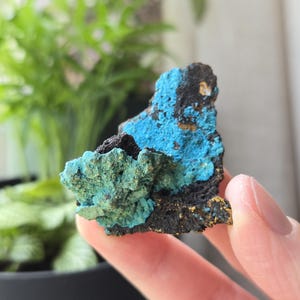 Natural Blue Chrysocolla on Matrix Natural Mineral Crystal Specimen from Congo