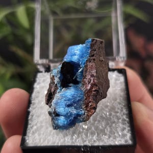 Natural Chalcanthite - Planet Mine, Arizona - Natural Mineral Crystal Specimens
