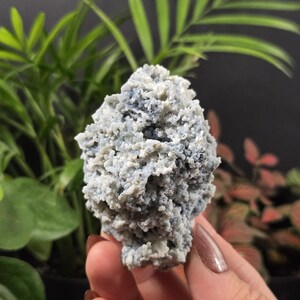 May include: A close-up of a light blue and white mineral specimen. The mineral has a textured, porous appearance, with a mix of light blue and white colors. The background features green plants.