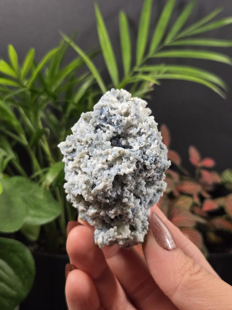 May include: A close-up of a light blue and white mineral specimen. The mineral has a textured, porous appearance, with a mix of light blue and white colors. The background features green plants.