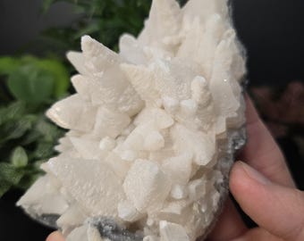 White Dogtooth Calcite Cluster - Natural Mineral Crystal Specimen