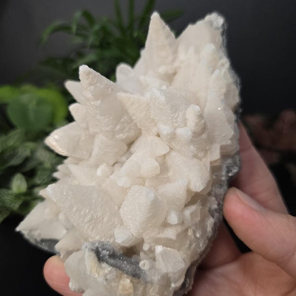White Dogtooth Calcite Cluster - Natural Mineral Crystal Specimen