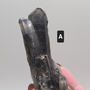 Various Smokey Black Quartz (2 Options - You Choose!) - Natural Mineral Crystal Specimen