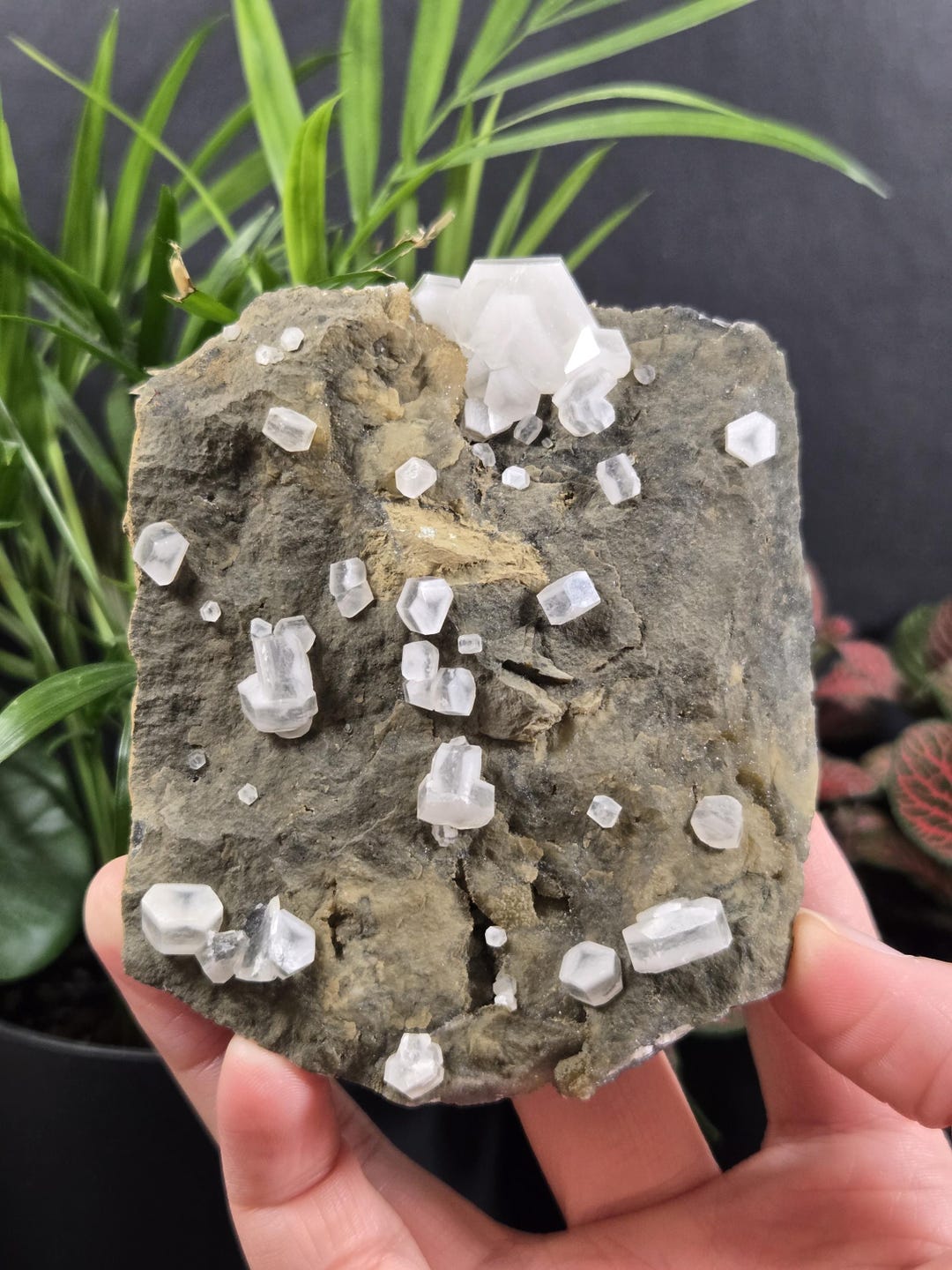 Sandwhich Calcite on Matrix - Natural Mineral Crystal Specimen - Etsy