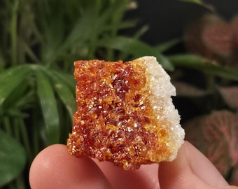 Zincite (4 Options - You Choose!) - UV-Reactive Mineral Crystal Specimens