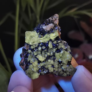 May include: A mineral specimen featuring clusters of translucent, neon yellow-green crystals set against a dark, textured black matrix. The crystalline structure is irregular and jagged, with a prominent letter A in a white circle in the corner.