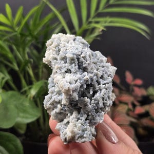 May include: A close-up of a light blue and white mineral specimen. The mineral has a textured, crystalline appearance. The background features green plants and a dark surface.