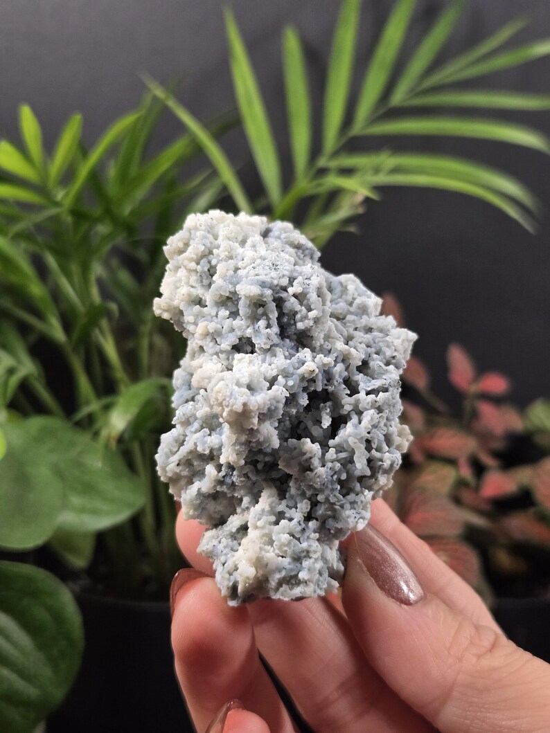 May include: A close-up of a light blue and white mineral specimen. The mineral has a textured, crystalline appearance. The background features green plants and a dark surface.