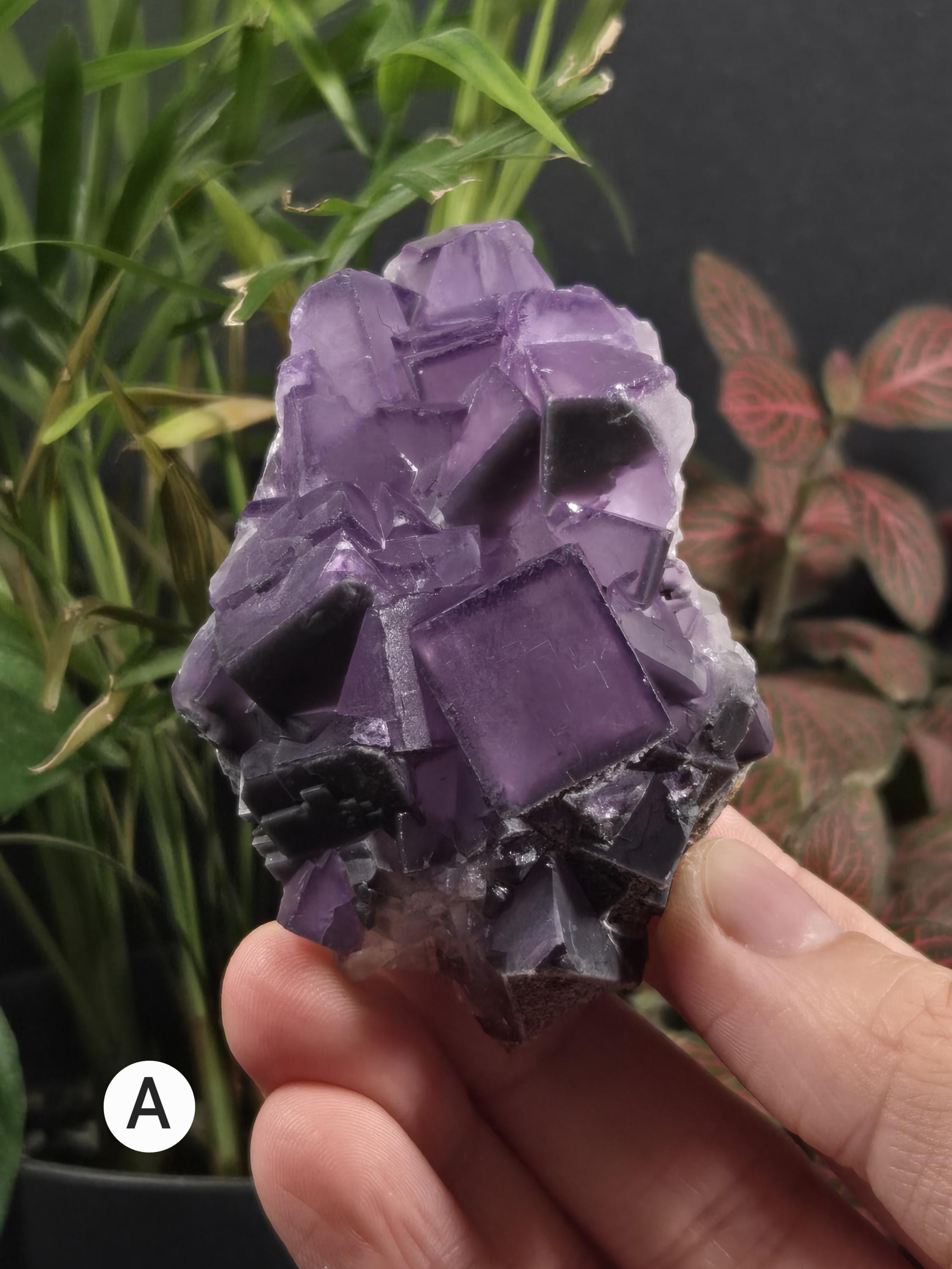 Porcelain Fluorite - Etsy