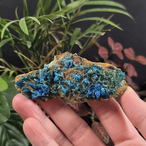 Natural Chalcanthite - Planet Mine, Arizona - Natural Mineral Crystal Specimens